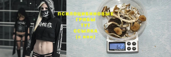 ALPHA PVP Пестово