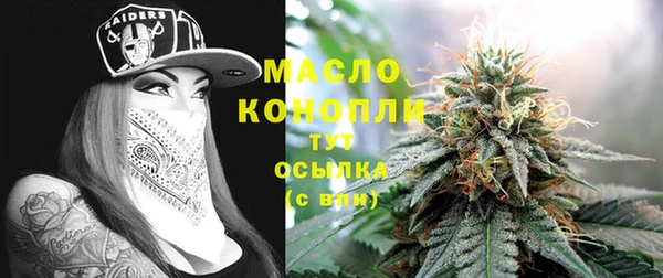 mix Пересвет